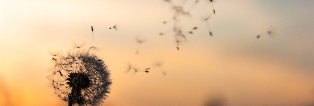dawid-zawila-unsplash