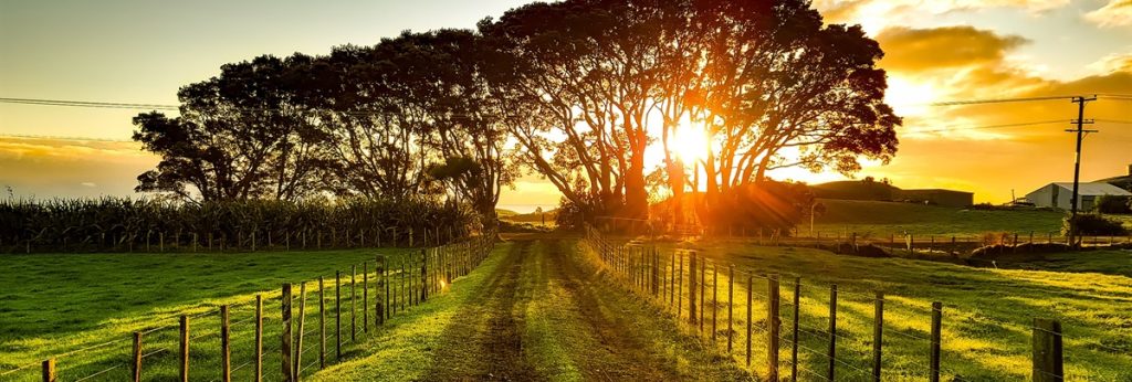 new-zealand